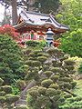 Jardin japonais dans le Golden Gate Park, San Francisco.