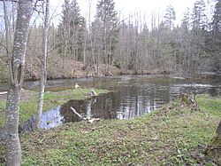 The Valdayka River in Valdaysky District