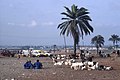 Quartier de Zone4 à Abidjan