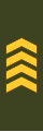 Översergeant (Finnish: Ylikersantti) (Finnish Army)[16]