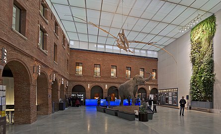 Le Grand Carré, L'éléphant et le Quetzalcoatlus.