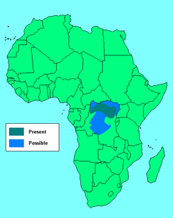 Distribución del okapi.