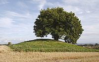 A round Tumulus called Loddenhøj. [5] Author: Villy Fink Isaksen