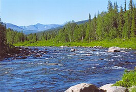 Rivière près de Saranpaoul.