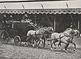 Attelage à quatre chevaux lors de la présentation.