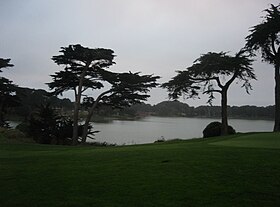 Harding Park