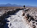 Durch die unwegsame Salzkruste des Salars ist die Lagune über eigens für Touristen angelegte Fußwege zu erreichen.