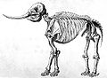 Image 57Drawing of a mastodon skeleton by Rembrandt Peale (from History of Wisconsin)