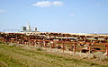 osmwiki:File:Feedlot-1.jpg