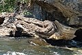 Ramshorn Rock, located at Farm Chute, is popular for its recognizable shape.