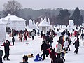 岩手雪まつり