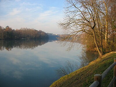 Bords de l'Isère (vue depuis le Bois des Naix).