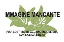 Immagine di Dioscoreophyllum cumminsii mancante