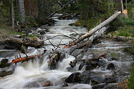 Lehman Creek, Great Basin National Park Nevada