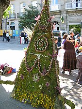 Травневе дерево в Галісії. Іспанія, 2009