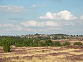 Wilseder Berg in the Lüneburg Heath