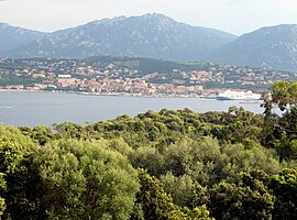 A view from the north, from the RN196 road, from Olmeto