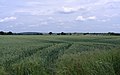 2013-10-18 A field in Marton, Yorkshire.