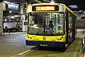 Dennis Dart SLF