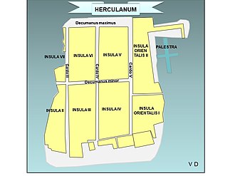 plan d'ensemble, ilots rectangulaires d'habitation en jaune, voirie en gris