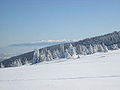 Paysage d'hiver sur le Vitocha, avec vue sur le massif du Rila en arrière-plan.