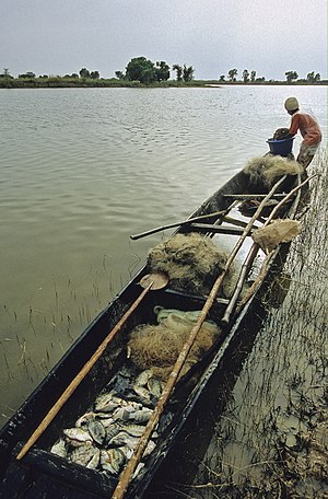 Niger River at the village of Kalabougou near Ségou