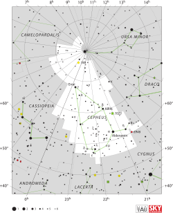 Cepheus