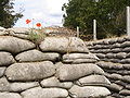 Laufgraben mit Mohnblumen, Dodengang bei Diksmuide, Westflandern