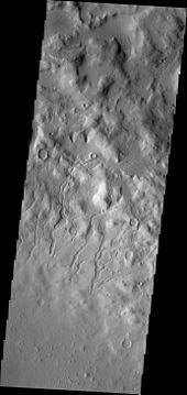 Cerulli Crater Channels, as seen by THEMIS. Channels are on the inner north rim of the crater.