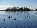 Hornsea Mere