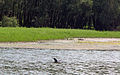 Kovilj-Petrovaradin Marshes