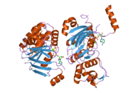 2bbt: Human deltaF508 NBD1 with two solublizing mutations.