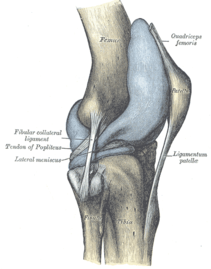 Lateral aspect of right knee