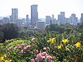 Skyline von Pretoria