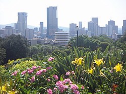 Skyline von Pretoria aus Sicht der Union Buildings