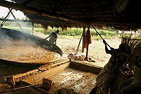 Transferring boiled sugarcane juice into vessel to dry