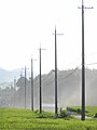 Multiple telephone poles and lines.