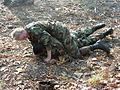 Army Military Combatives