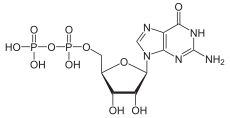 Skeletal formula of guanosine diphosphate