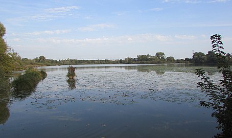 L'étang de Bihécourt.