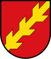 Wappe vo Holzgau