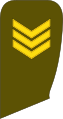 Vyresnysis seržantas (Lithuanian Land Force)[20]