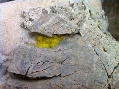 Cristaux de soufre (jaune) et d'anhydrite (blanc).