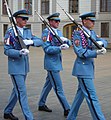 Soldier of Prague Castle guard holding ceremonial Vz. 52 rifle