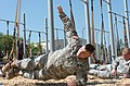 Modified side plank