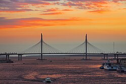 Cable-stayed Petrovsky bridge.jpg