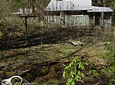 Abandoned Cabin