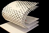 Parametric developed structure and facade