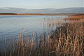 Loch Strathbeg