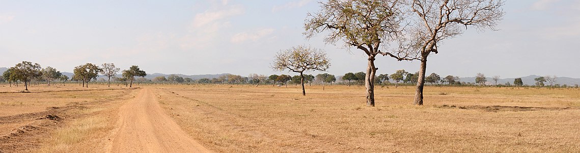 Mikumi National Park, by Muhammad Mahdi Karim